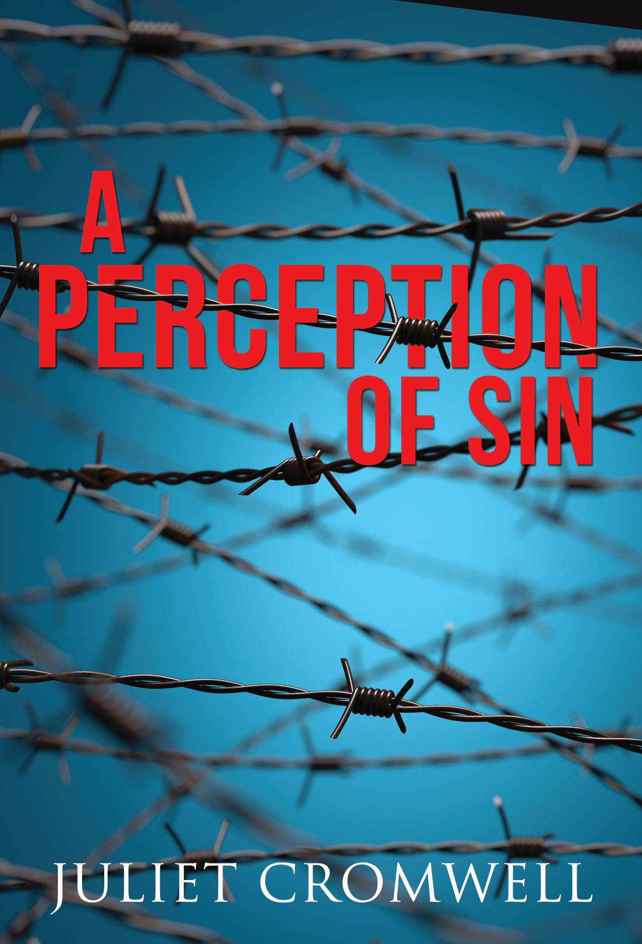 A Perception of Sin